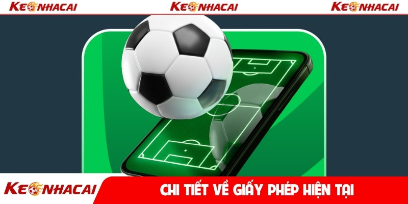 Chi tiết về giấy phép hiện tại