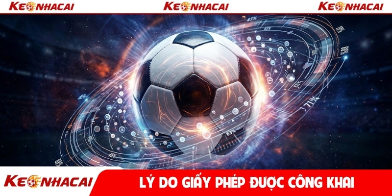 Lý do giấy phép được công khai