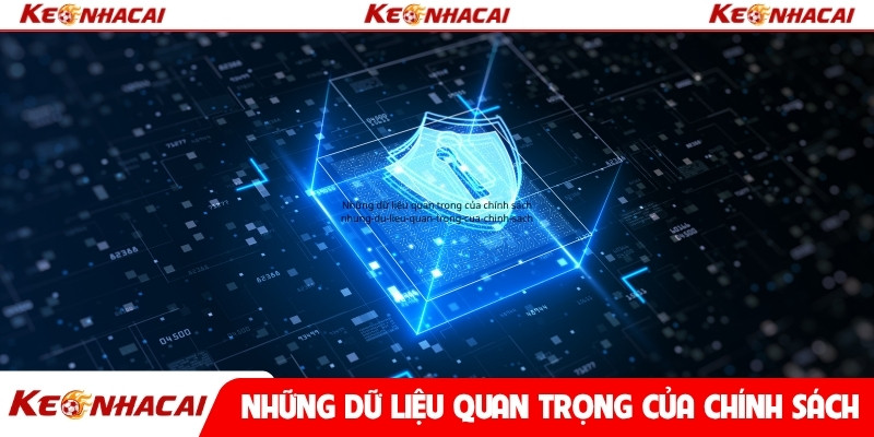 Những dữ liệu quan trọng của chính sách
