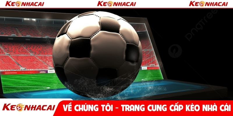 Về chúng tôi - trang cung cấp kèo nhà cái